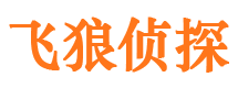 高陵市侦探公司